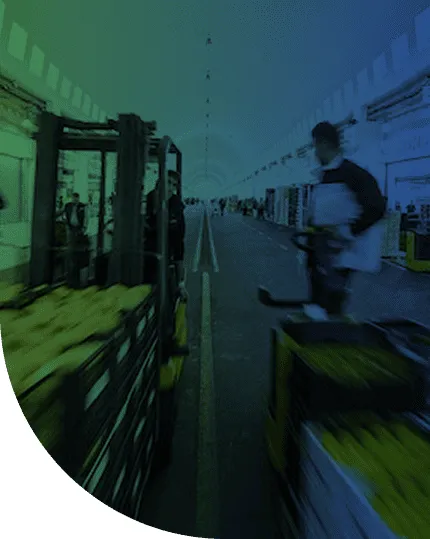 Grossisti al lavoro con muletti e bancali di frutta nel mercato ortofrutticolo